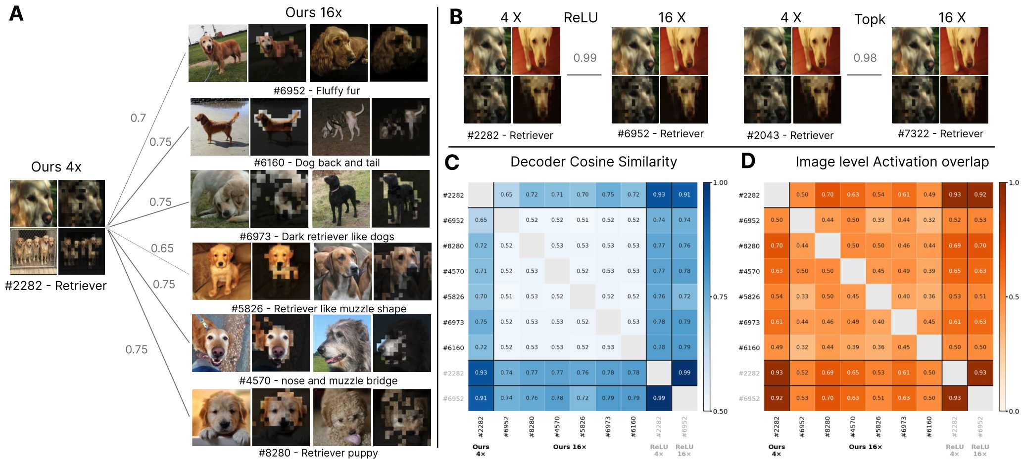 A 4× ConSDL retriever atom and its 16× counterparts in CLIP ViT-B/16