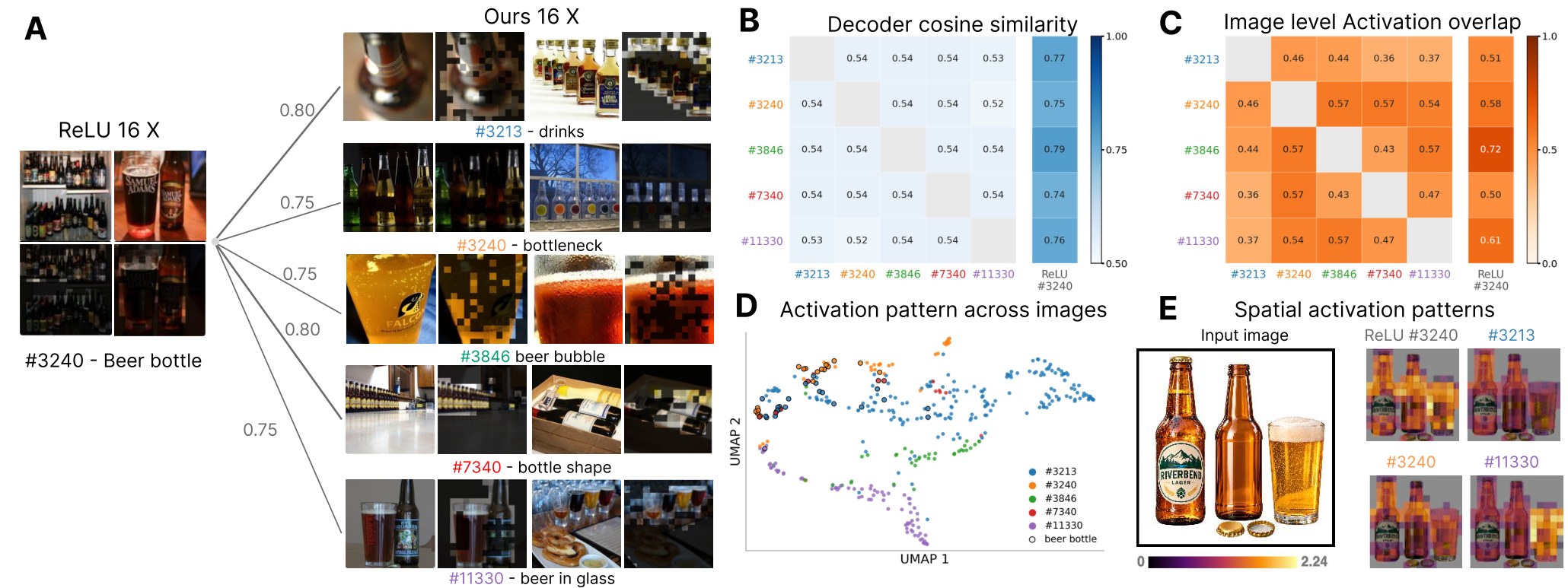 A ReLU beer-bottle atom and its matched ConSDL atoms in CLIP ViT-B/16